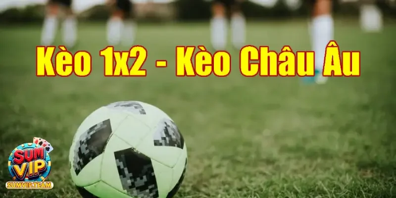 Kèo cược tỷ số chính xác